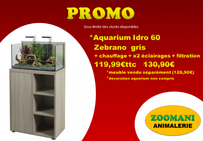 Promo idro 60